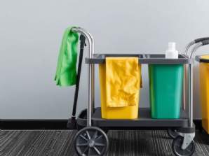 Cleansing and Pest Control